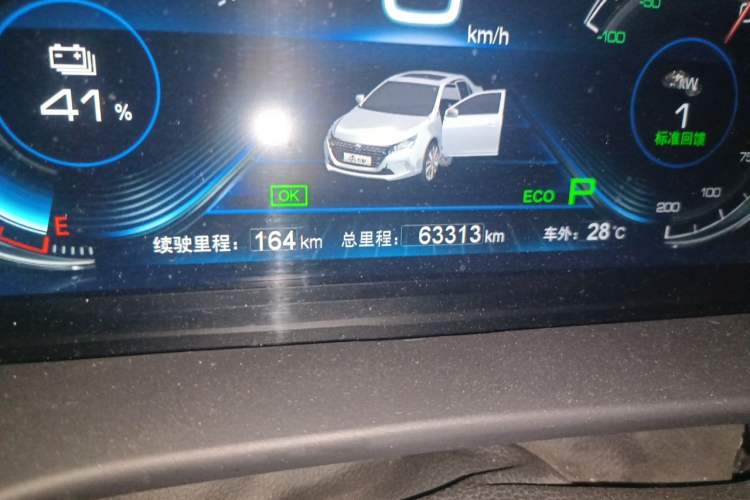 Used BYD Qin New Energy 2018 Qin EV450 Smart Connect Prestige Model Odometer Close Up