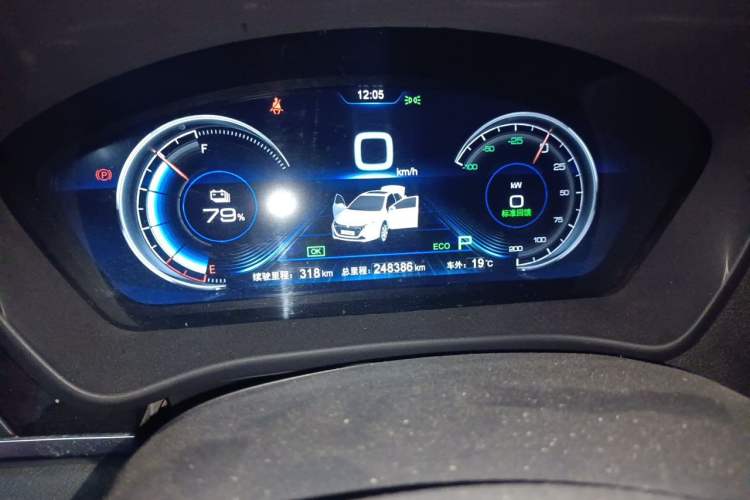 Used BYD Qin New Energy 2018 Qin EV450 Smart Connect Prestige Model Odometer Close Up