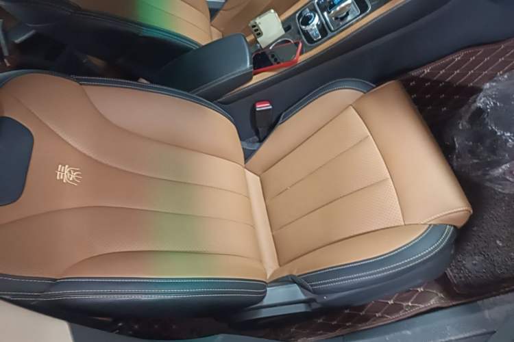 Used BYD Qin New Energy 2018 1.5T Smart Connect Premium Model Right Front Seat