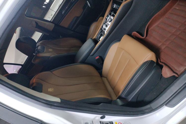 Used BYD Qin New Energy 2018 Qin EV450 Smart Connect Prestige Model Right Front Seat