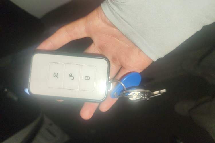 Used BYD Qin New Energy 2018 1.5T Smart Connect Premium Model Vehicle Key