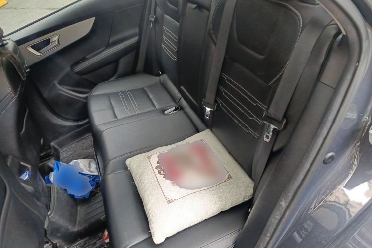 Used BYD Qin New Energy 2019 High-Range Luxury Model Left Rear Seat