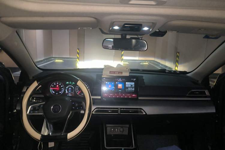 Used BYD Qin New Energy 2019 High-Range Deluxe Model Headliner