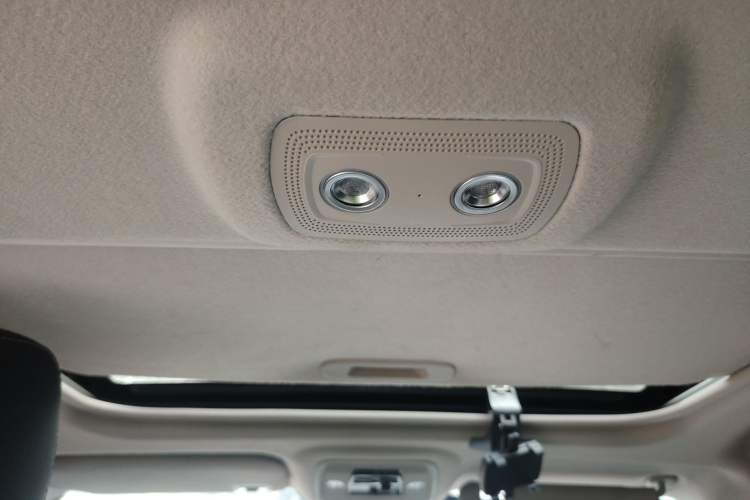 Used BYD Qin New Energy 2019 High-Range Deluxe Model Headliner