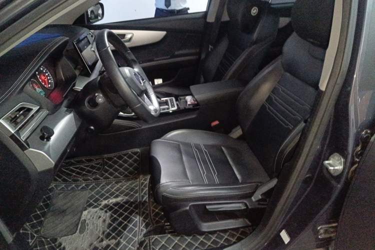 Used BYD Qin New Energy 2019 High-Range Luxury Model Left Front Seat