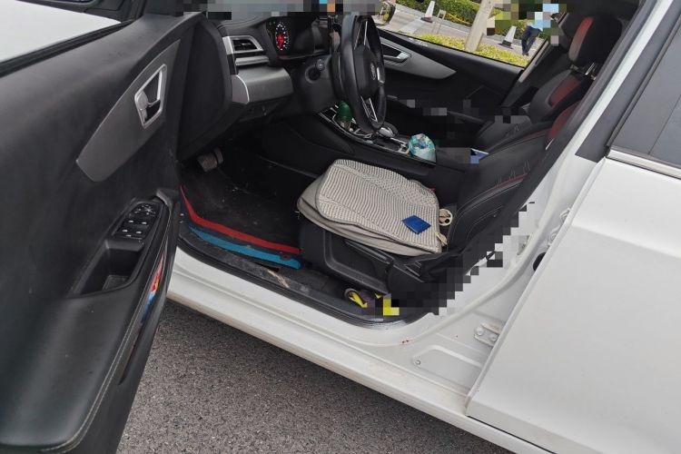 Used BYD Qin New Energy 2019 Standard Edition for Travel Driver Seat