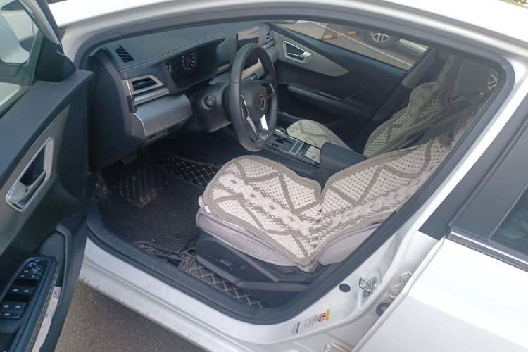 Used BYD Qin New Energy 2019 High-Range Deluxe Model Driver Seat