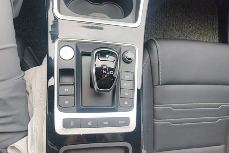 Used BYD Qin New Energy 2019 High-Range Deluxe Model Gear Lever