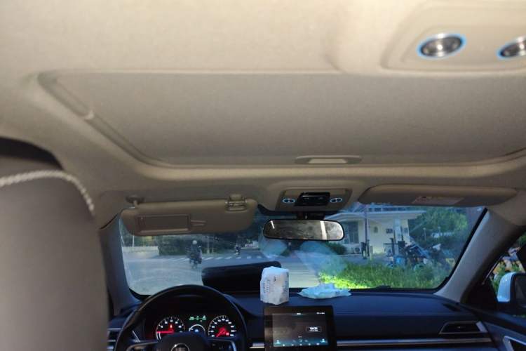 Used BYD Qin New Energy 2019 High-Range Luxury Model Headliner
