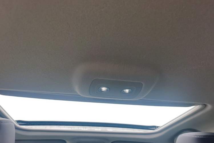 Used BYD Qin New Energy 2019 High-Range Deluxe Model Headliner