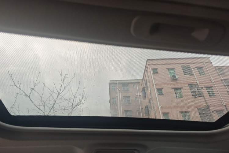 Used BYD Qin New Energy 2019 High-Range Luxury Model Headliner