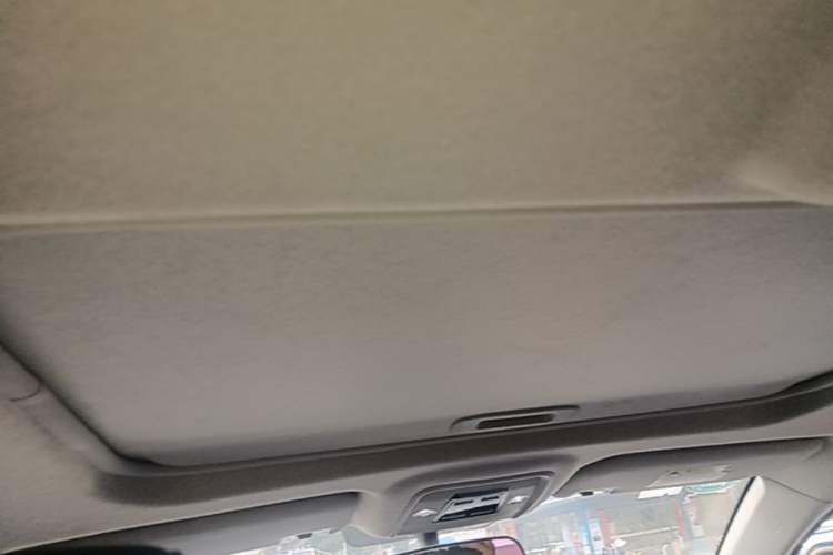 Used BYD Qin New Energy 2019 High-Range Luxury Model Headliner