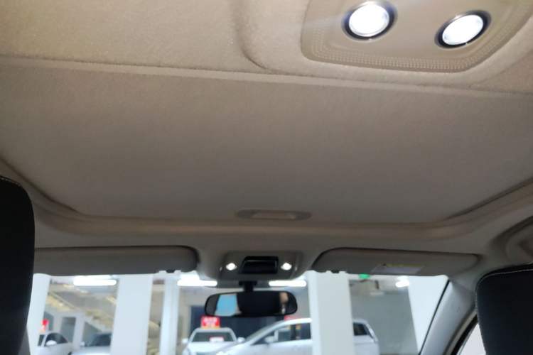 Used BYD Qin New Energy 2019 High-Range Luxury Model Headliner