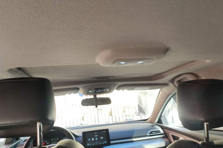 Used BYD Qin New Energy 2019 High-Range Luxury Model Headliner