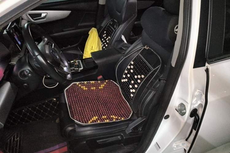 Used BYD Qin New Energy 2019 Travel Edition Left Front Seat
