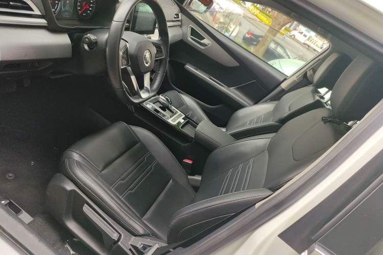 Used BYD Qin New Energy 2019 Travel Edition Left Front Seat