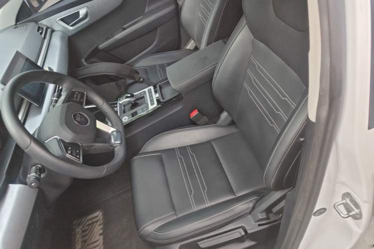 Used BYD Qin New Energy 2019 High-Range Luxury Model Left Front Seat