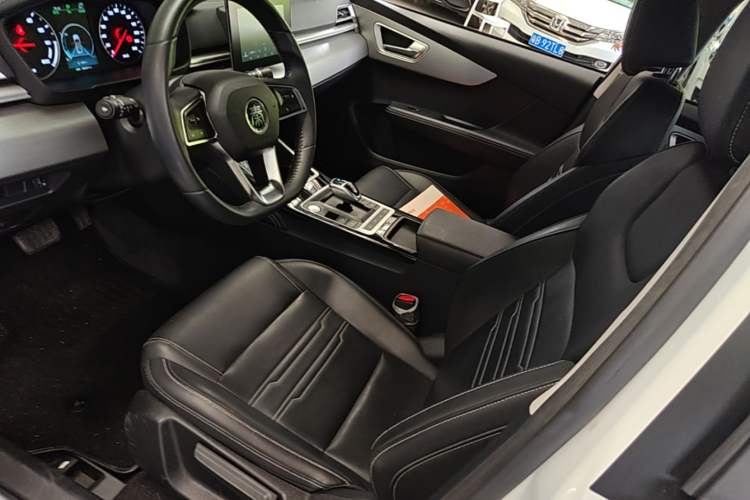 Used BYD Qin New Energy 2019 Travel Edition Left Front Seat