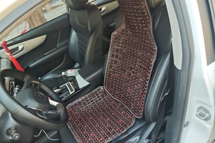 Used BYD Qin New Energy 2019 Travel Edition Left Front Seat
