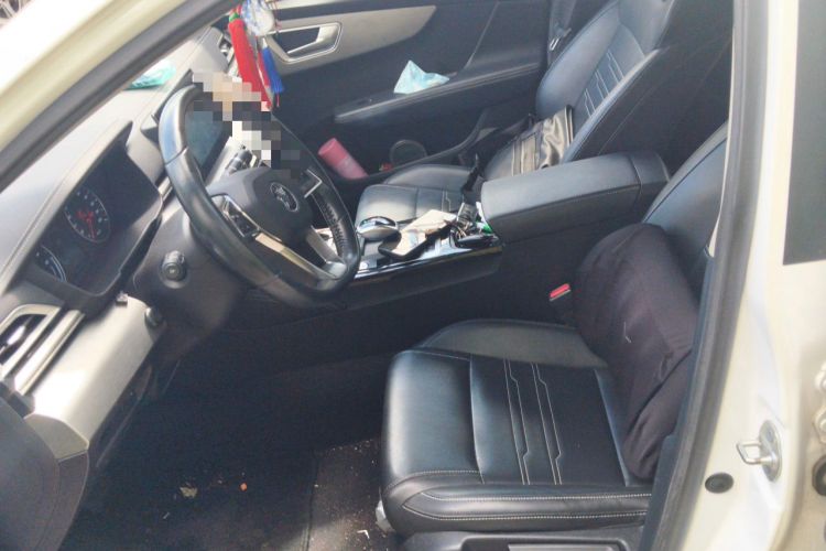 Used BYD Qin New Energy 2019 Travel Edition Left Front Seat