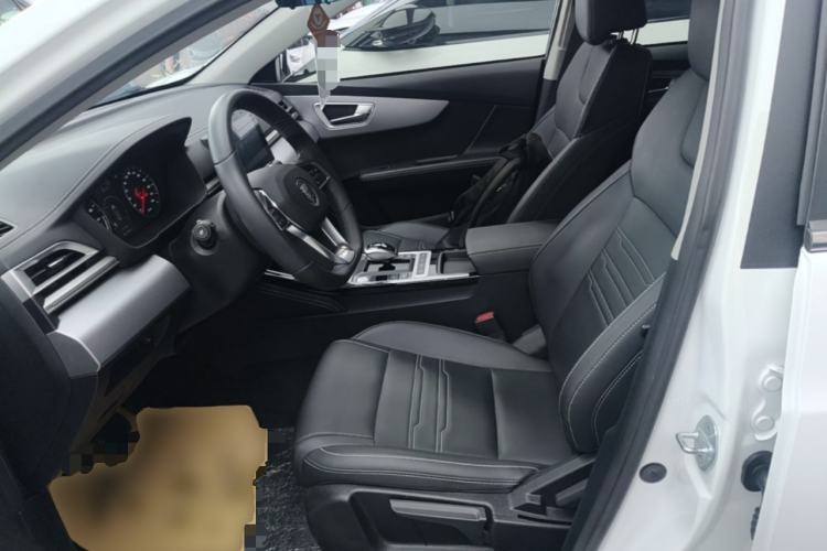 Used BYD Qin New Energy 2019 High-Range Luxury Model Left Front Seat