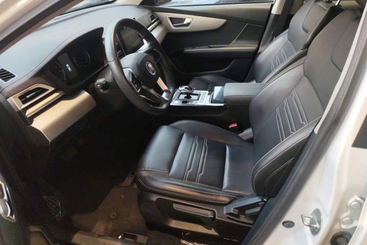 Used BYD Qin New Energy 2019 Travel Edition Left Front Seat