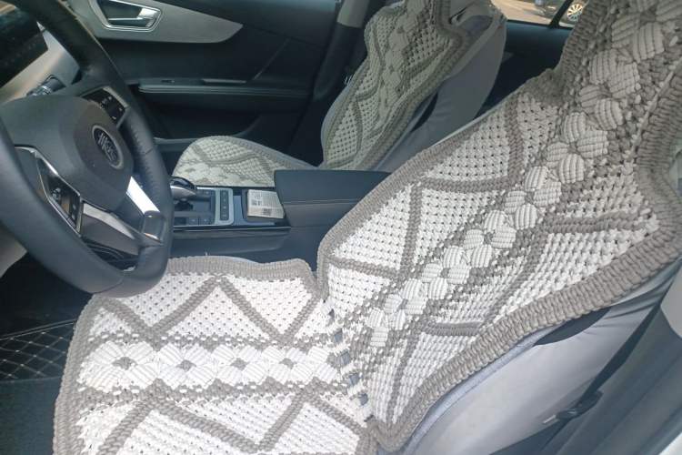 Used BYD Qin New Energy 2019 High-Range Deluxe Model Left Front Seat