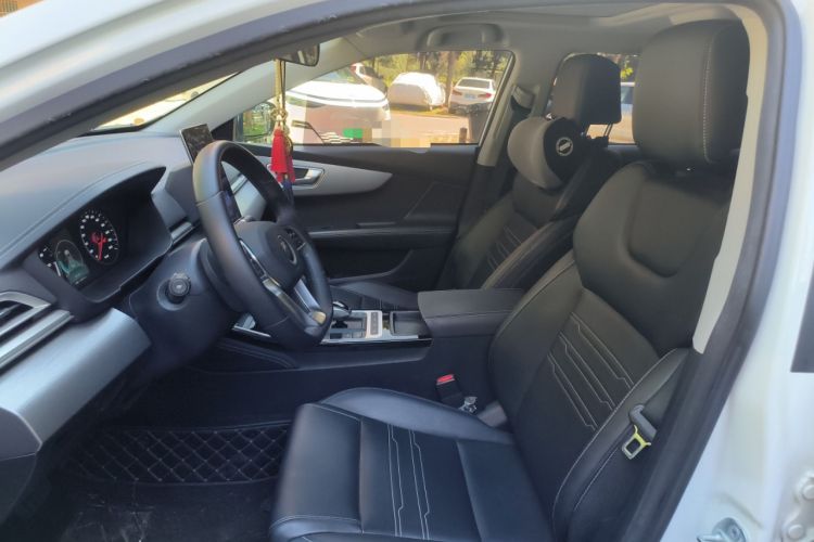 Used BYD Qin New Energy 2019 High-Range Deluxe Model Left Front Seat