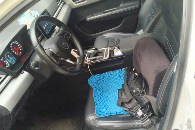 Used BYD Qin New Energy 2019 Travel Edition Left Front Seat
