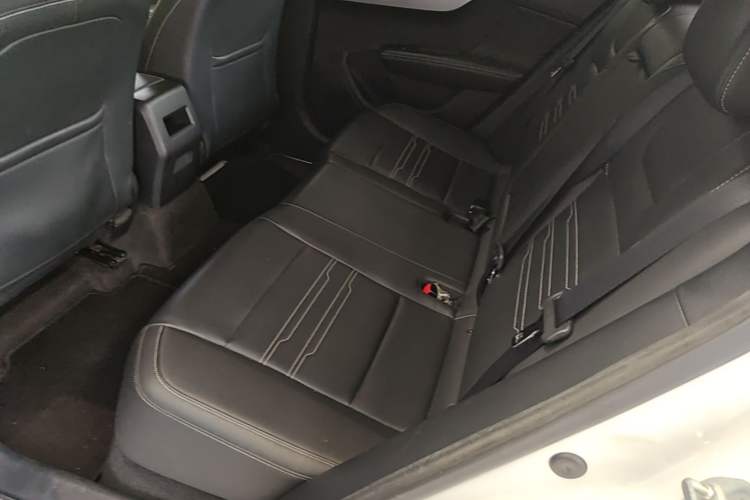 Used BYD Qin New Energy 2019 Travel Edition Left Rear Seat