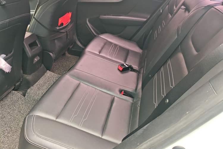 Used BYD Qin New Energy 2019 High-Range Deluxe Model Left Rear Seat