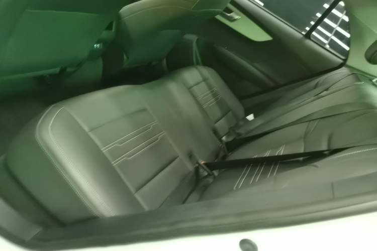 Used BYD Qin New Energy 2019 Standard Edition for Travel Left Rear Seat