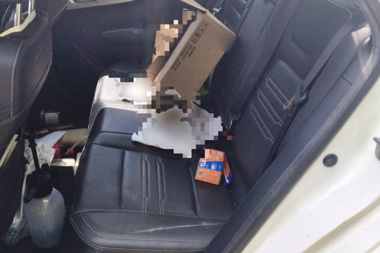 Used BYD Qin New Energy 2019 Travel Edition Left Rear Seat