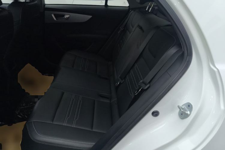 Used BYD Qin New Energy 2019 High-Range Luxury Model Left Rear Seat