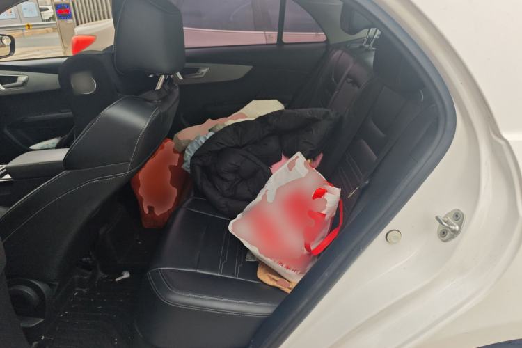 Used BYD Qin New Energy 2019 Travel Edition Left Rear Seat