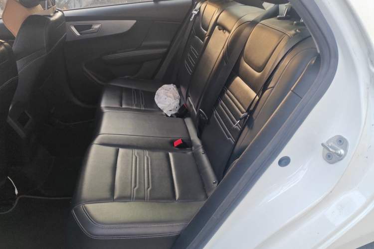 Used BYD Qin New Energy 2019 Travel Edition Left Rear Seat