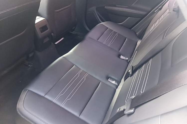 Used BYD Qin New Energy 2019 High-Range Luxury Model Left Rear Seat