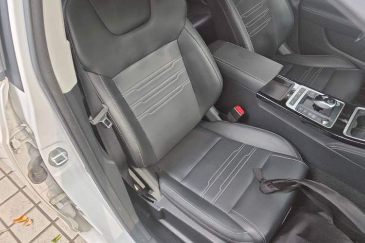 Used BYD Qin New Energy 2019 High-Range Luxury Model Right Front Seat