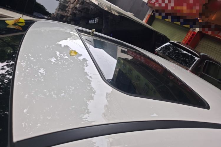 Used BYD Qin New Energy 2019 High-Range Luxury Model Roof