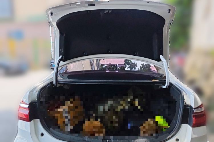 Used BYD Qin New Energy 2019 High-Range Luxury Model Trunk
