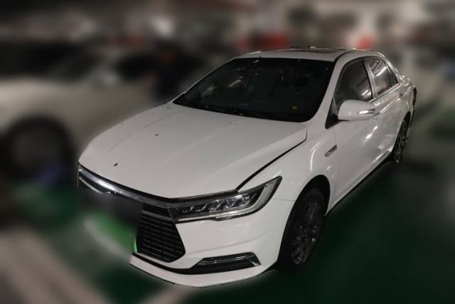 BYD Qin New Energy 2019 High-Range Luxury Model usata