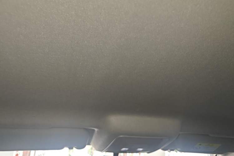 Used BYD Qin New Energy 2021 Travel Edition Headliner