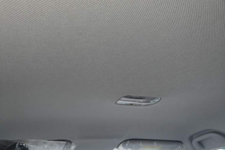 Used BYD Qin New Energy 2021 Standard Edition Headliner
