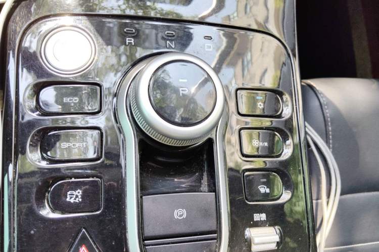 Used BYD Qin New Energy 2021 Standard Edition Gear Lever