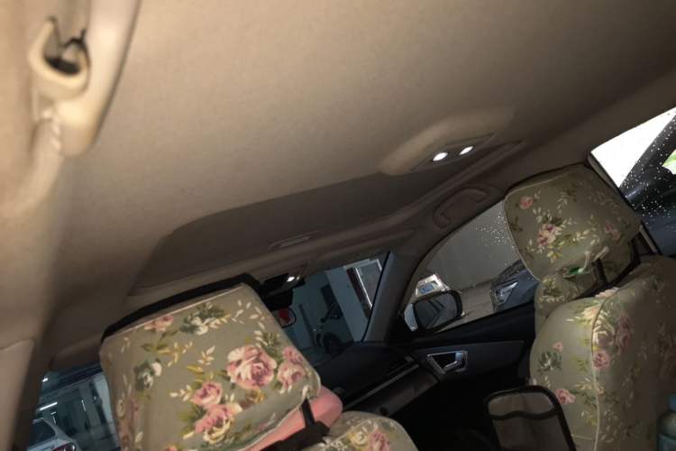 Used BYD Qin New Energy 2021 Travel Edition Headliner