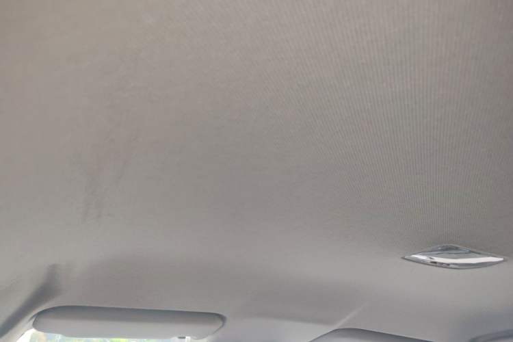 Used BYD Qin New Energy 2021 Standard Edition Headliner