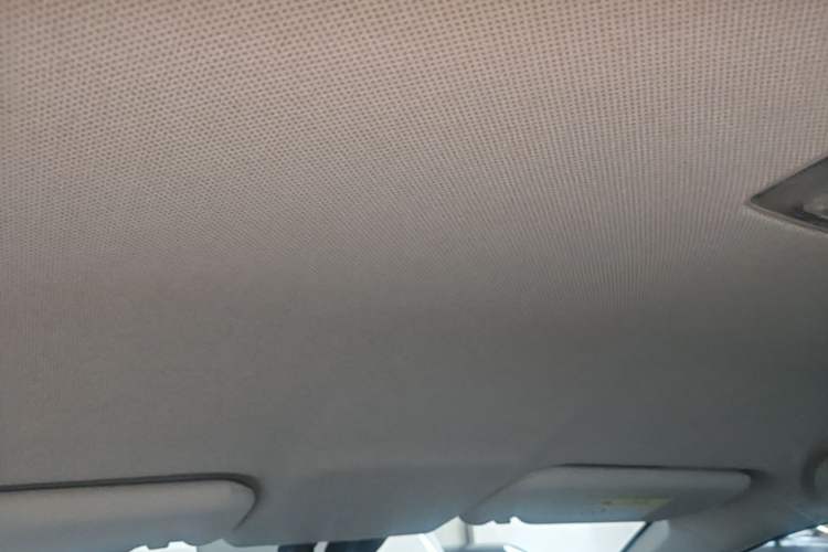 Used BYD Qin New Energy 2021 Travel Edition Headliner