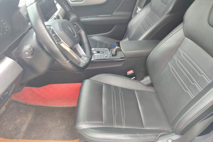 Used BYD Qin New Energy 2021 Travel Edition Left Front Seat