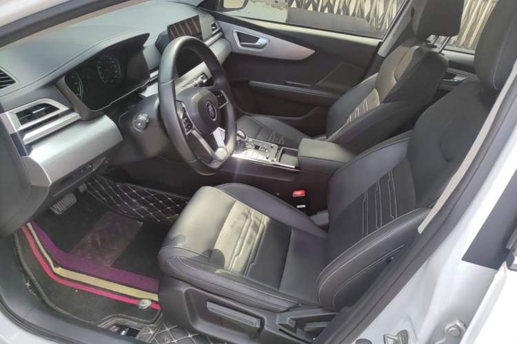 Used BYD Qin New Energy 2021 Travel Edition Left Front Seat