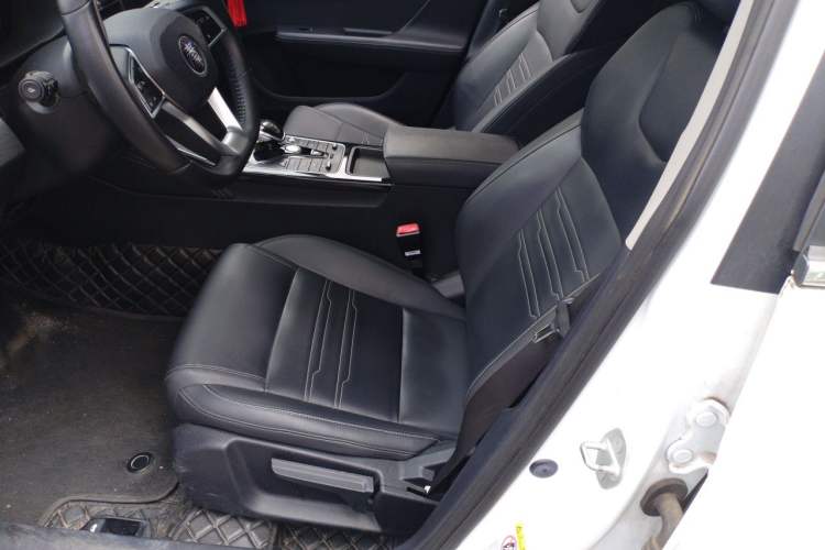 Used BYD Qin New Energy 2021 Travel Edition Left Front Seat